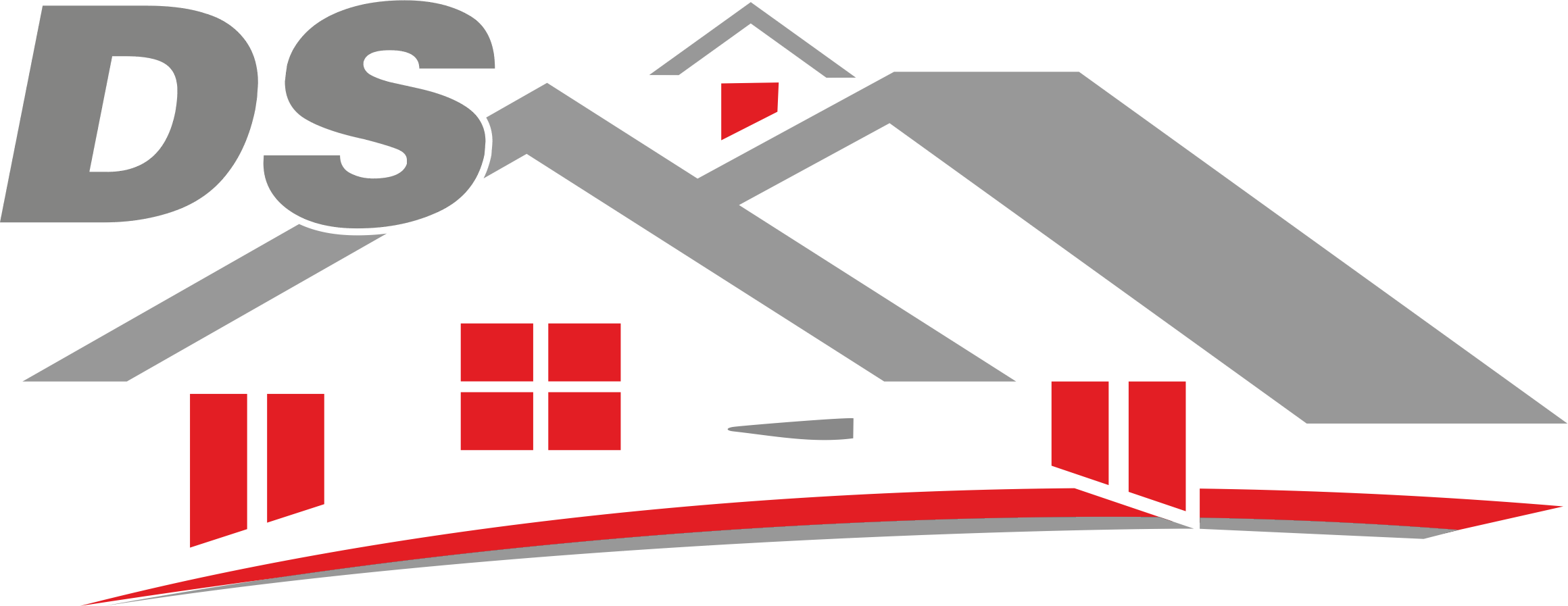 DS Bau Logo
